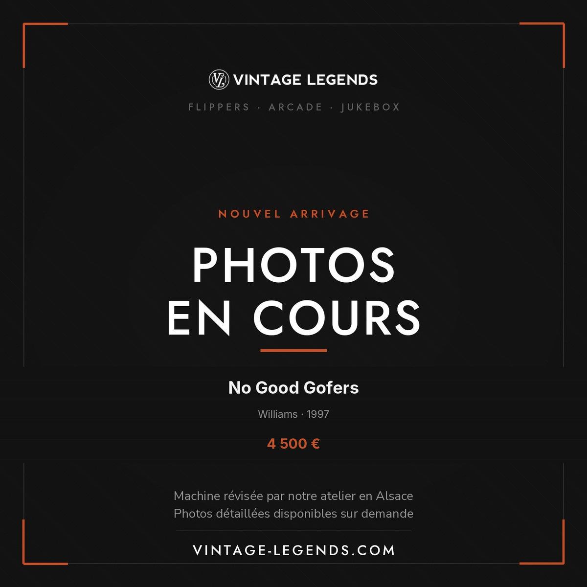 Flipper No Good Gofers Williams 1997 — photos en cours, Vintage Legends
