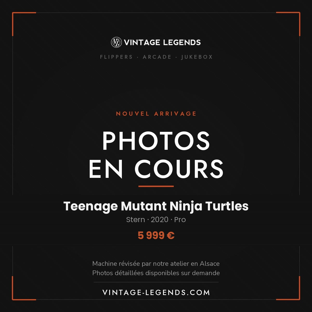 Flipper Teenage Mutant Ninja Turtles Pro Stern 2020 — photos en cours, Vintage Legends