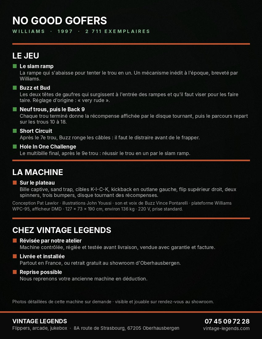 Flyer Flipper No Good Gofers Williams 1997 occasion — verso règles et caractéristiques, Vintage Legends