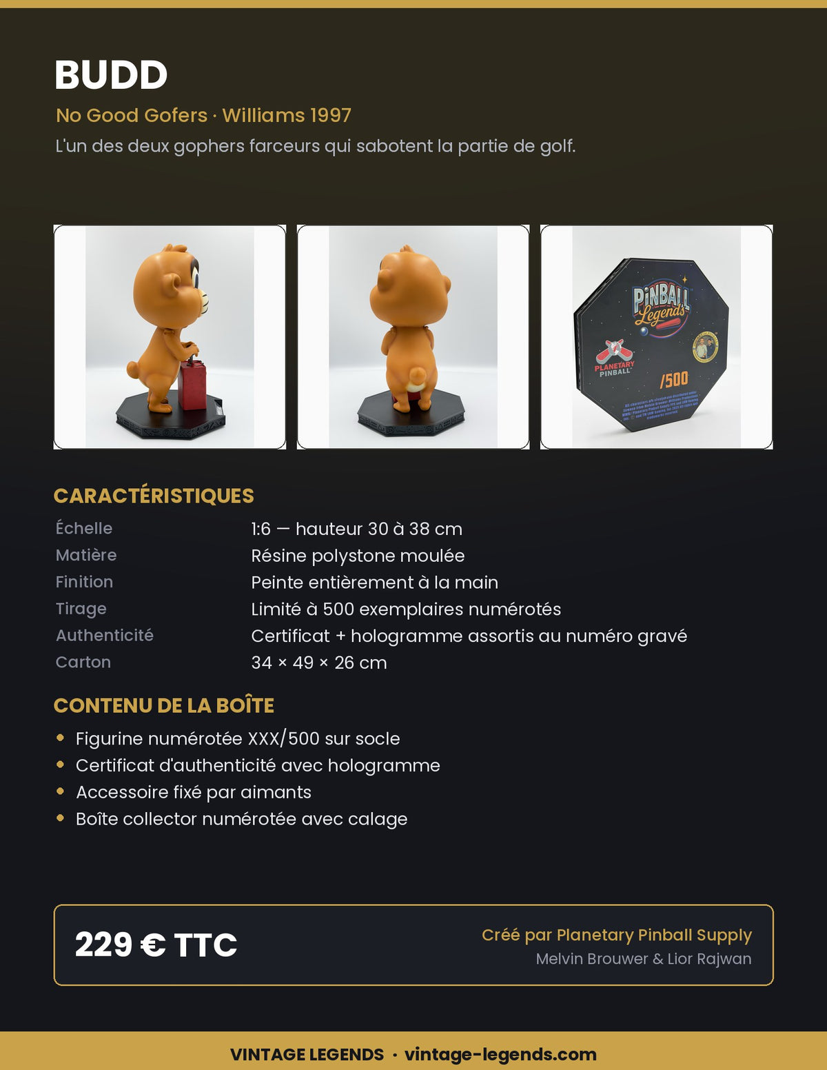 Flyer Budd 1:6 — caractéristiques