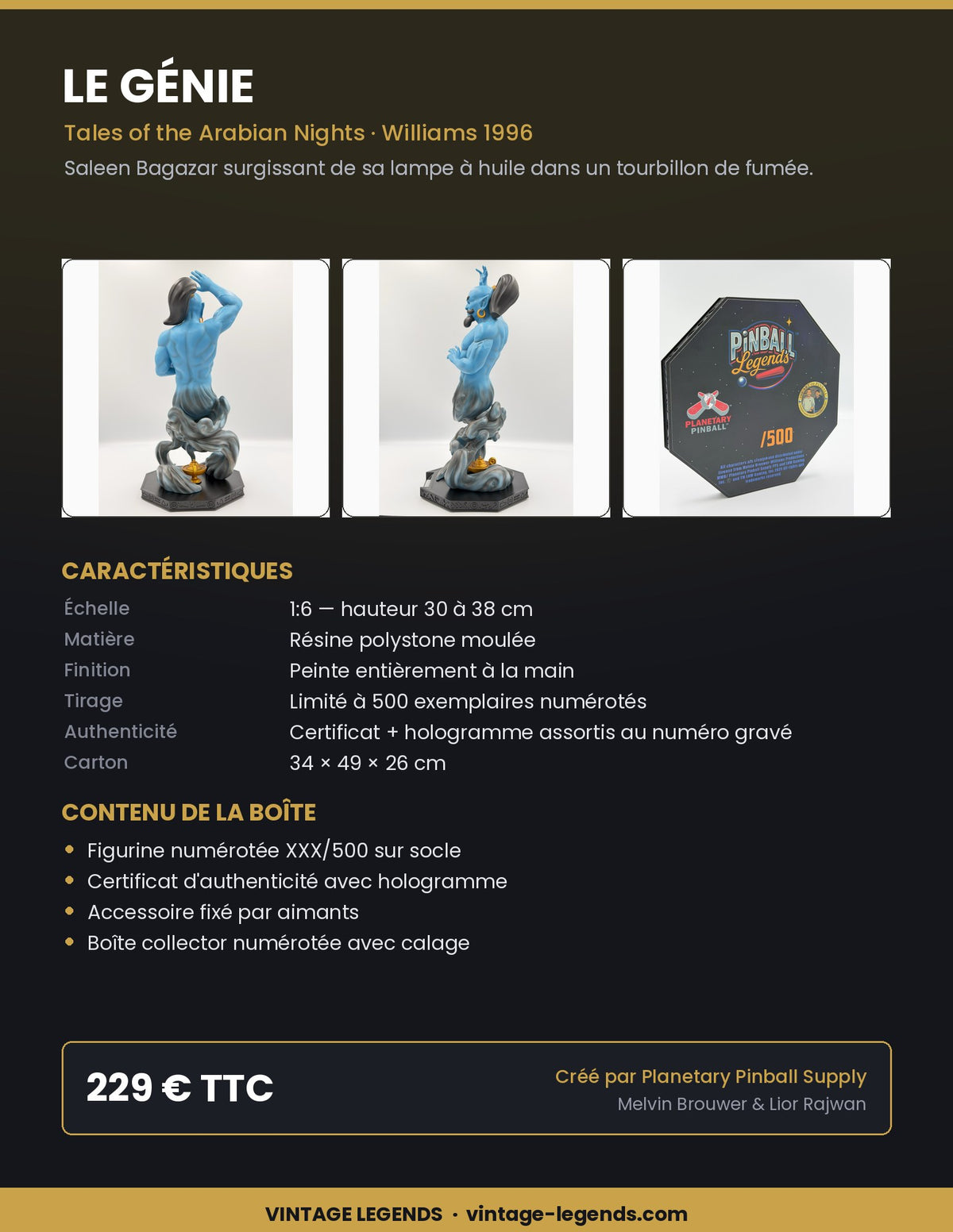 Flyer Génie 1:6 — caractéristiques