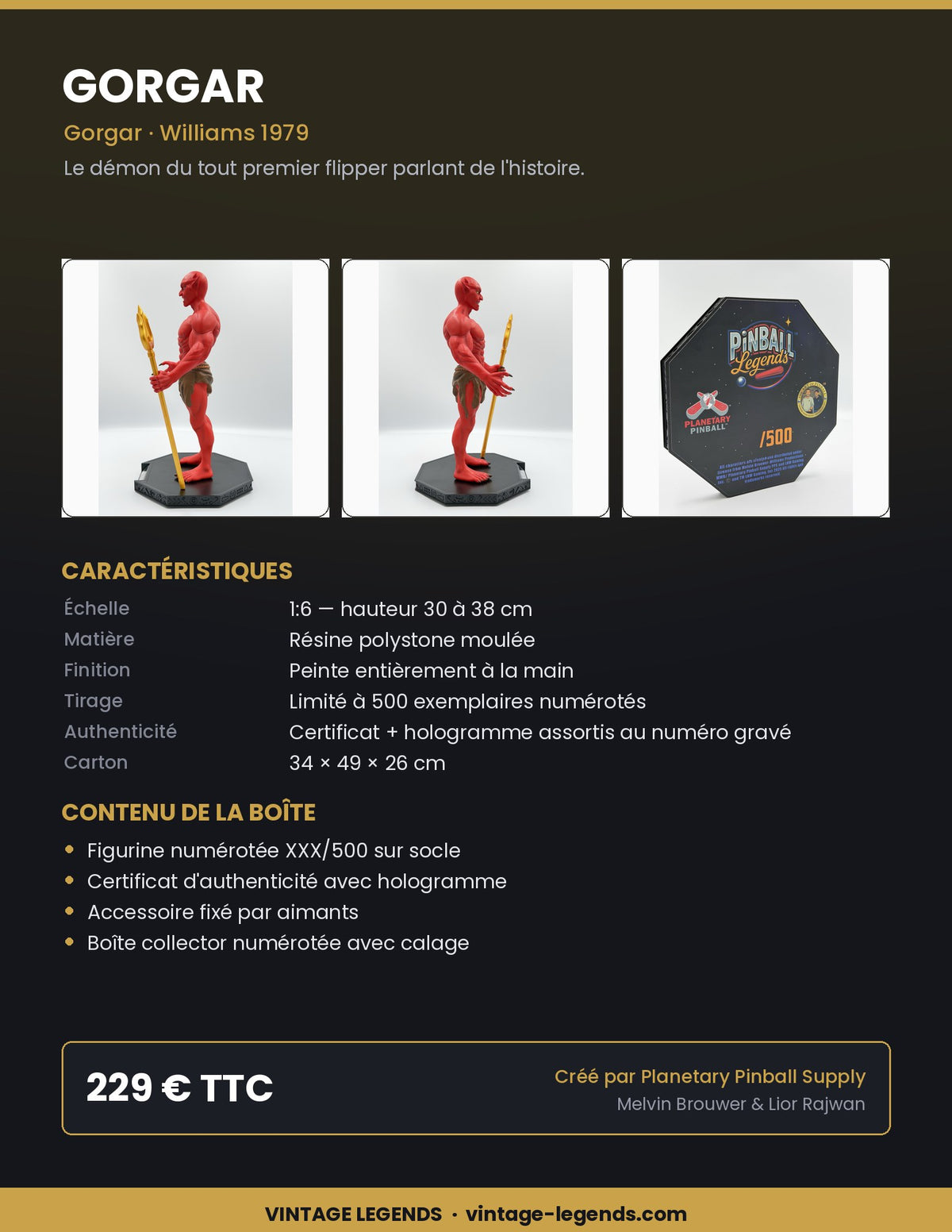 Flyer Gorgar 1:6 — caractéristiques