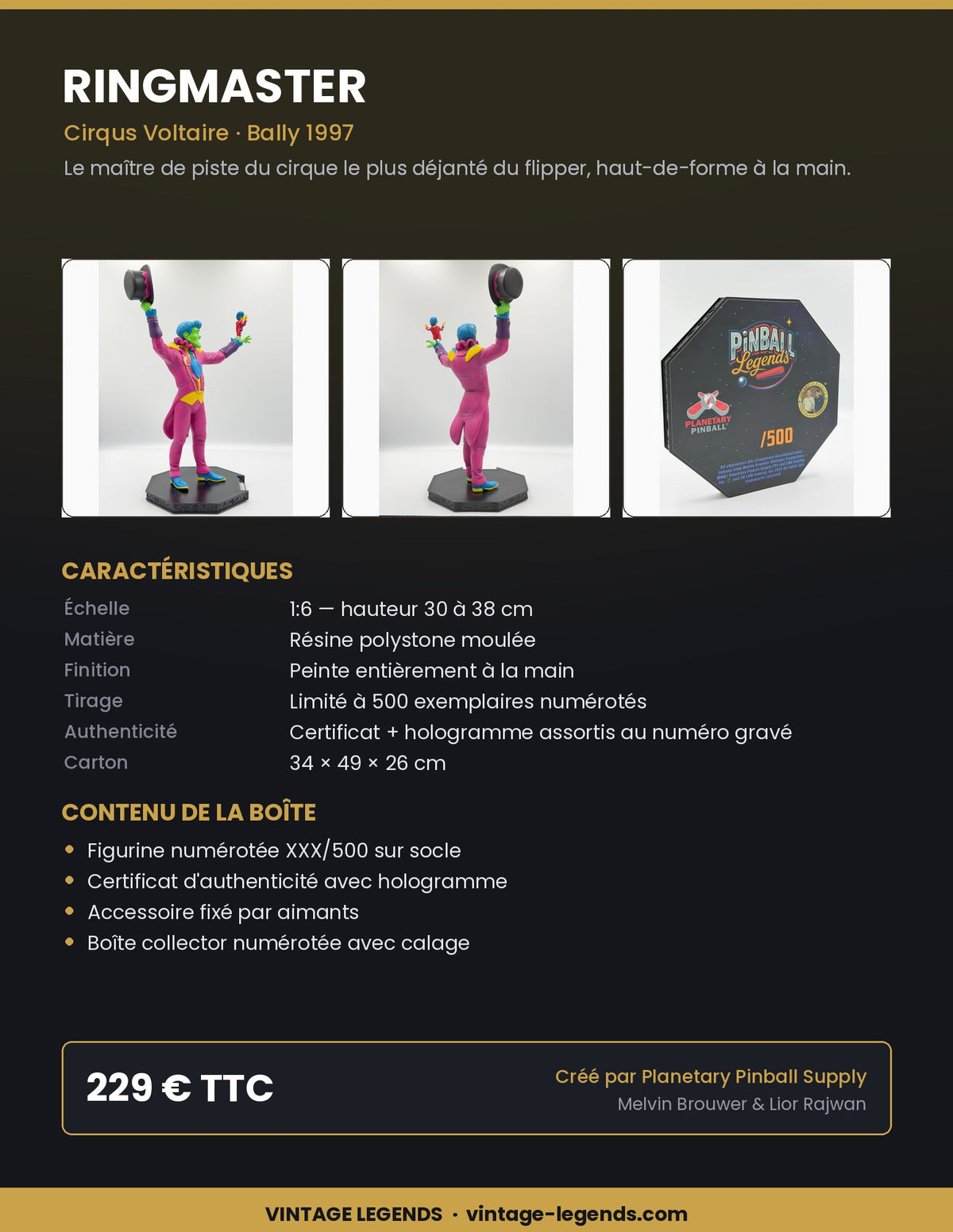 Flyer Ringmaster 1:6 — caractéristiques