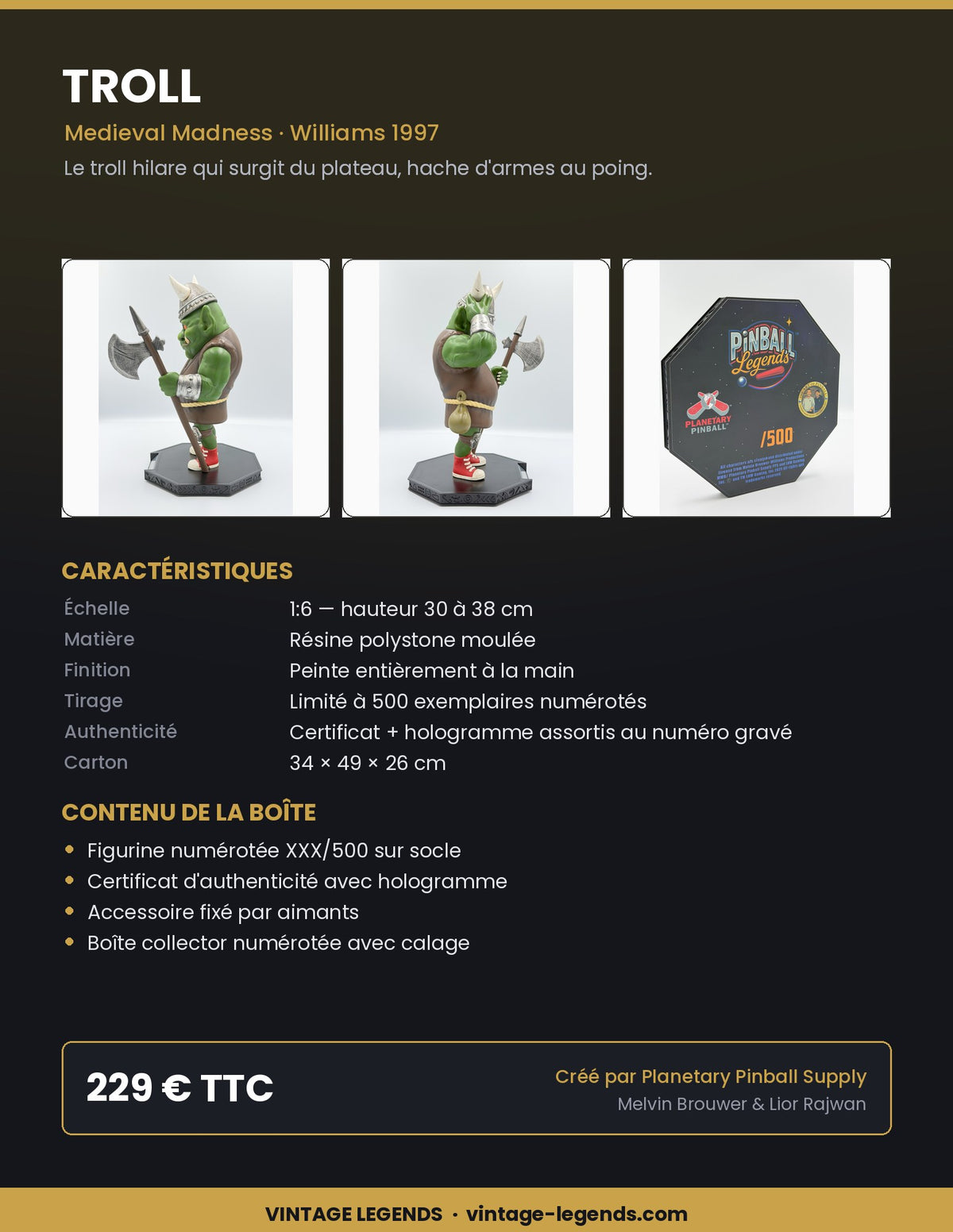 Flyer Troll 1:6 — caractéristiques